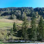 Ferienhaus Bella Vista Comfortable Maria Alm am Steinernen Meer