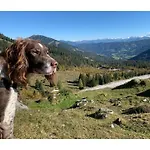 Ferienhaus Bella Vista Comfortable Maria Alm am Steinernen Meer