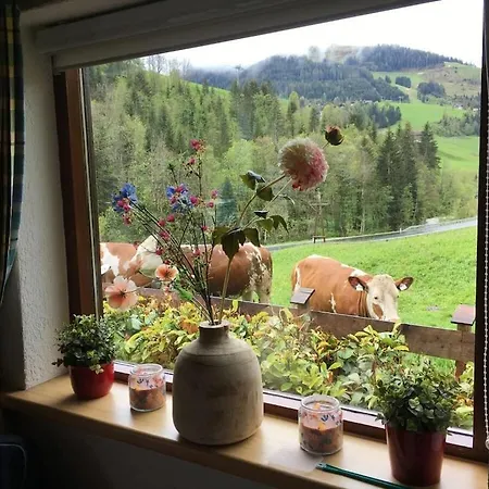 Ferienhaus Bella Vista Comfortable *