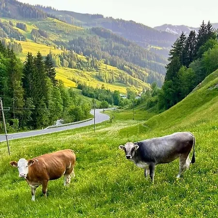 Bella Vista Comfortable Maria Alm am Steinernen Meer